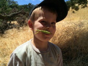 I've seen horror movies that had scenes like this!