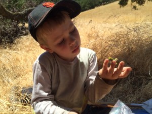 Here's yet another green one. We captured six that day.