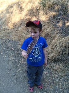 Kieran collected feathers as we explored, mostly from wild turkeys, whose dinosaurian footprints were visible in the dust of the trail.