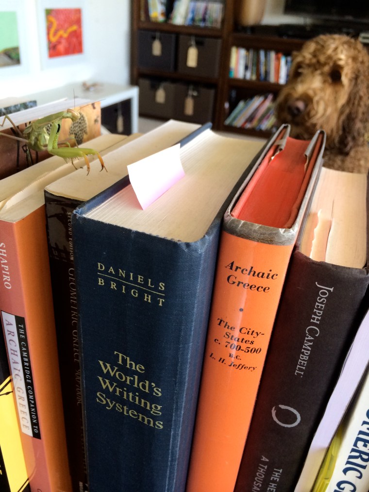 Checking out the dog