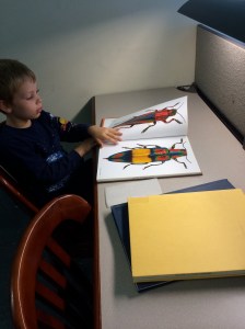 A book called "Living Jewels."