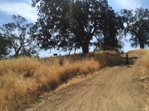 Kieran spotted a doe and fawn grazing at the top of a hill.