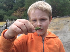 Kieran held it carefully, and the insect buzzed its wings in his hand. When he let it free, it flew swiftly away.