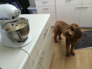 Someone arrived to "help" if needed.