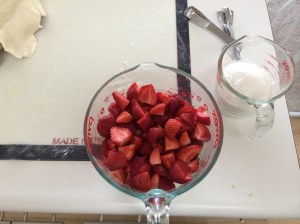 The strawberries and rhubarb await a dusting of sugar, tapioca and corn starch.