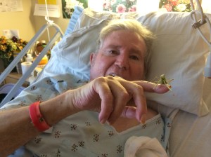 Dad thought this unique experience was hilarious.