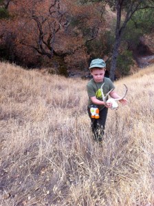 This isn't the first deer skull we've discovered on Mt. Diablo. We found another several years ago.