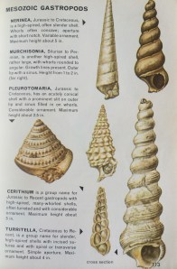 We're not sure what they are, but we're working on it.