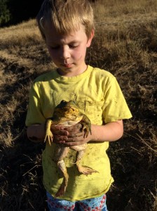 It's important to combine library research with field work, and soon we'll be back in the field!