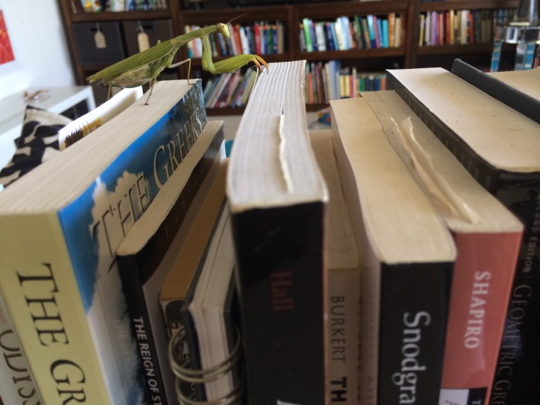 Let your fingers do the walking 2