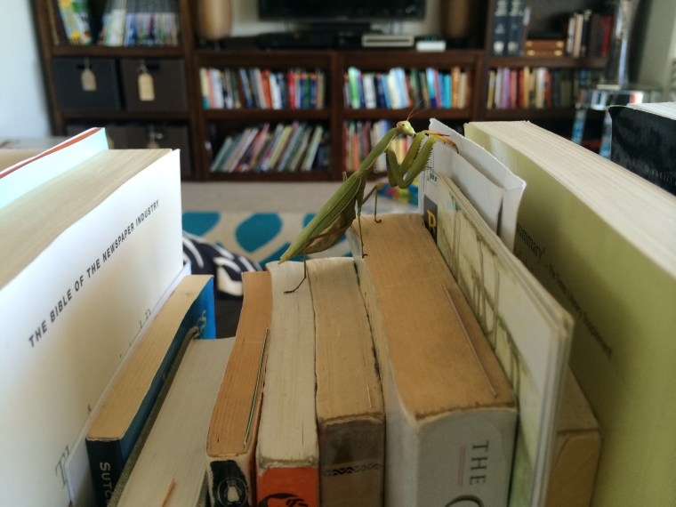 Let your fingers do the walking