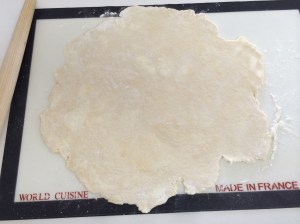 With luck, I don't get a big Ross Sea or Weddell Sea that makes it hard to fit the round in the dish!