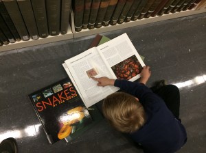 Snakes in the library!