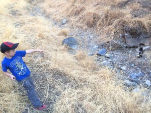 With his sharp eyes, Kieran spotted the skunk before I did.