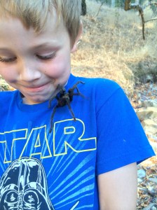 The tickle of a tarantula! Trying not to laugh (or scream).