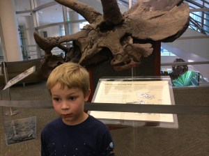 The library has Triceratops skulls in its lobby.