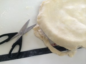 I use scissors to trim the overhang.