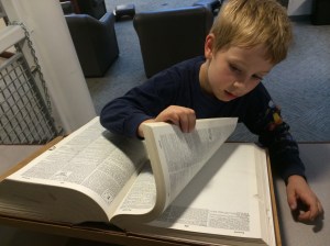 Using the dictionary to look up "beetle."