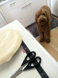 Someone waits hopefully for any extra trimmings!