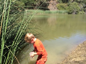 We also did some field work over the weekend at Water Dog Lake in Belmont. Good and muddy.
