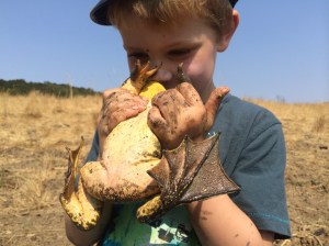 It's good for kids to get up close and personal with wildlife.