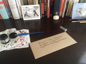 Address the envelope.