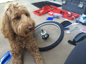Rooney immediately flopped down on the wheel to help keep it from rolling away.