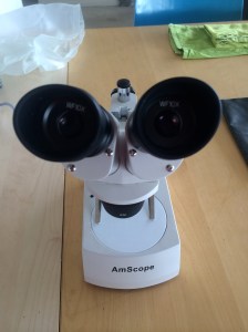 Our microscope, a binocular dissection instrument, is not good enough to see tiny details on tiny ants!