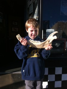 I bought him the mandible of a bison.