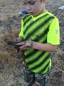 He examined the new frog carefully, from all sides.