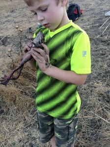 Kieran was thrilled to find a species we'd never encountered before.