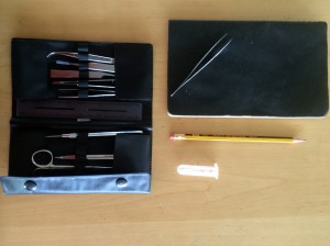 Gather what information you can. A dissection kit is helpful, though these particular ants were so tiny they were tough to manipulate under the microscope even with fine tools.