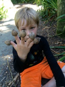 The nuts are perfect for finger puppets!