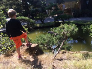 Kieran scouts the pond for the turtle.