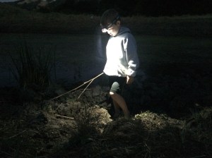 We often stay past dark to hunt for frogs with flashlights.