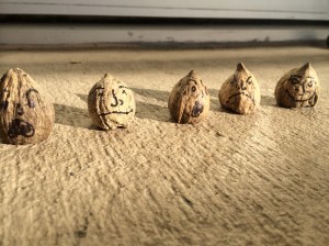 We used a marker to draw faces on the nuts.