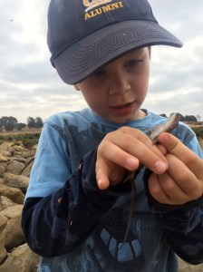 Kieran carefully studied the first alligator lizard we caught.