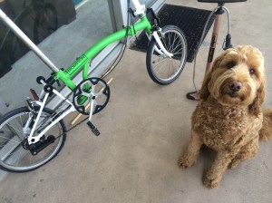 Rooney was ready to do his part.