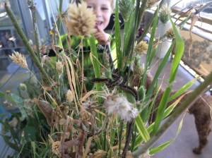 Kieran spotted our climbing serpent and had a good laugh.