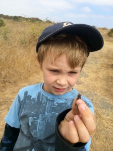 Kieran held the dragonfly carefully before setting it free.