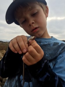 He knows from our previous experience that they bite, and so is careful.