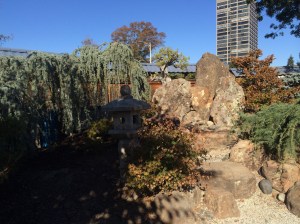 The bonsai garden is another treasure practically in the shadow of downtown buildings.