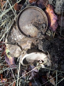 People have been partying up on Mt. Diablo for decades -- here's an ancient beer can with a pull tab.