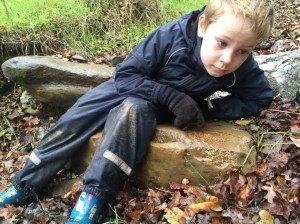 Kieran found several sets of Turritella fossils.