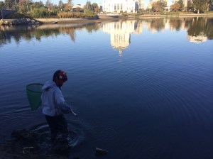 We waded in the lake with nets this morning.