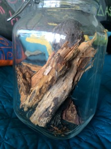 Our makeshift termite tank.