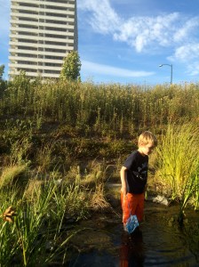 In dry summer months, the ponds are tiny.