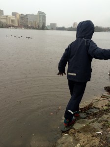 Wading in the lake, which is at a very high flood stage.
