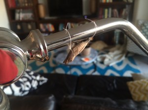 I tied the tumbled chrysalis to my desktop lamp.