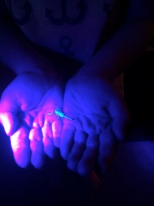 A scorpion in the hand is worth two in a bush!